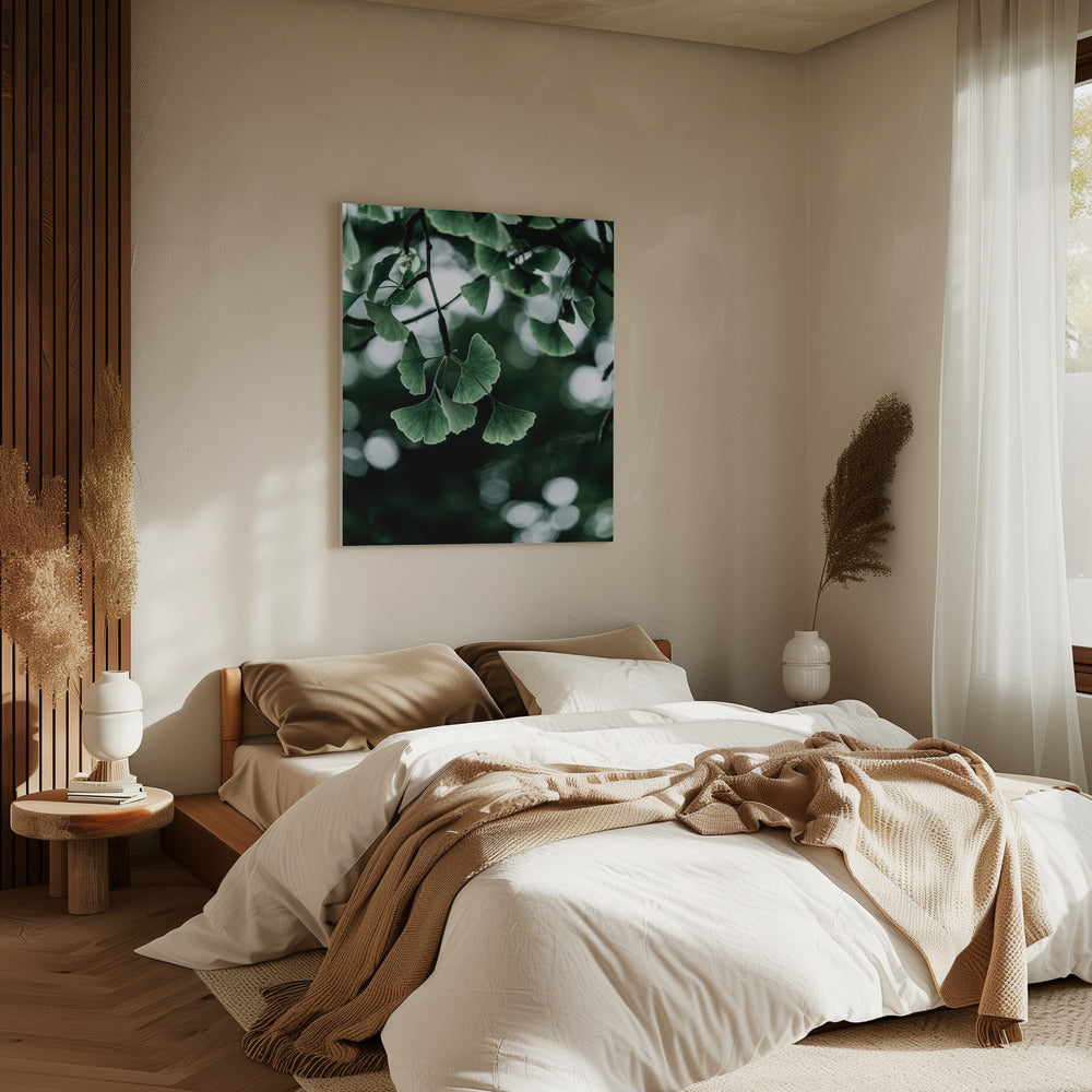 Ginko 1 | Canvas
