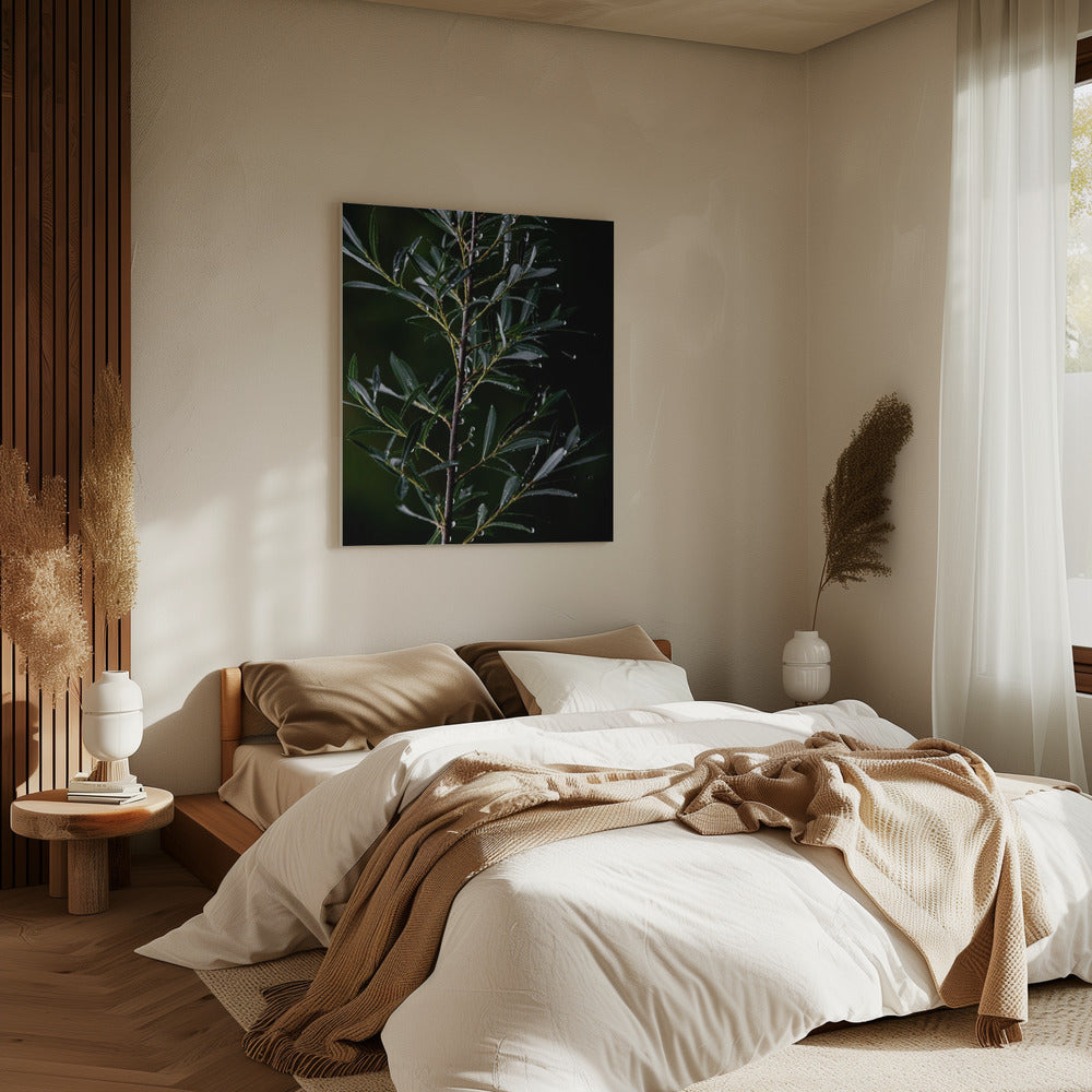 Wintertakken 6 | Canvas