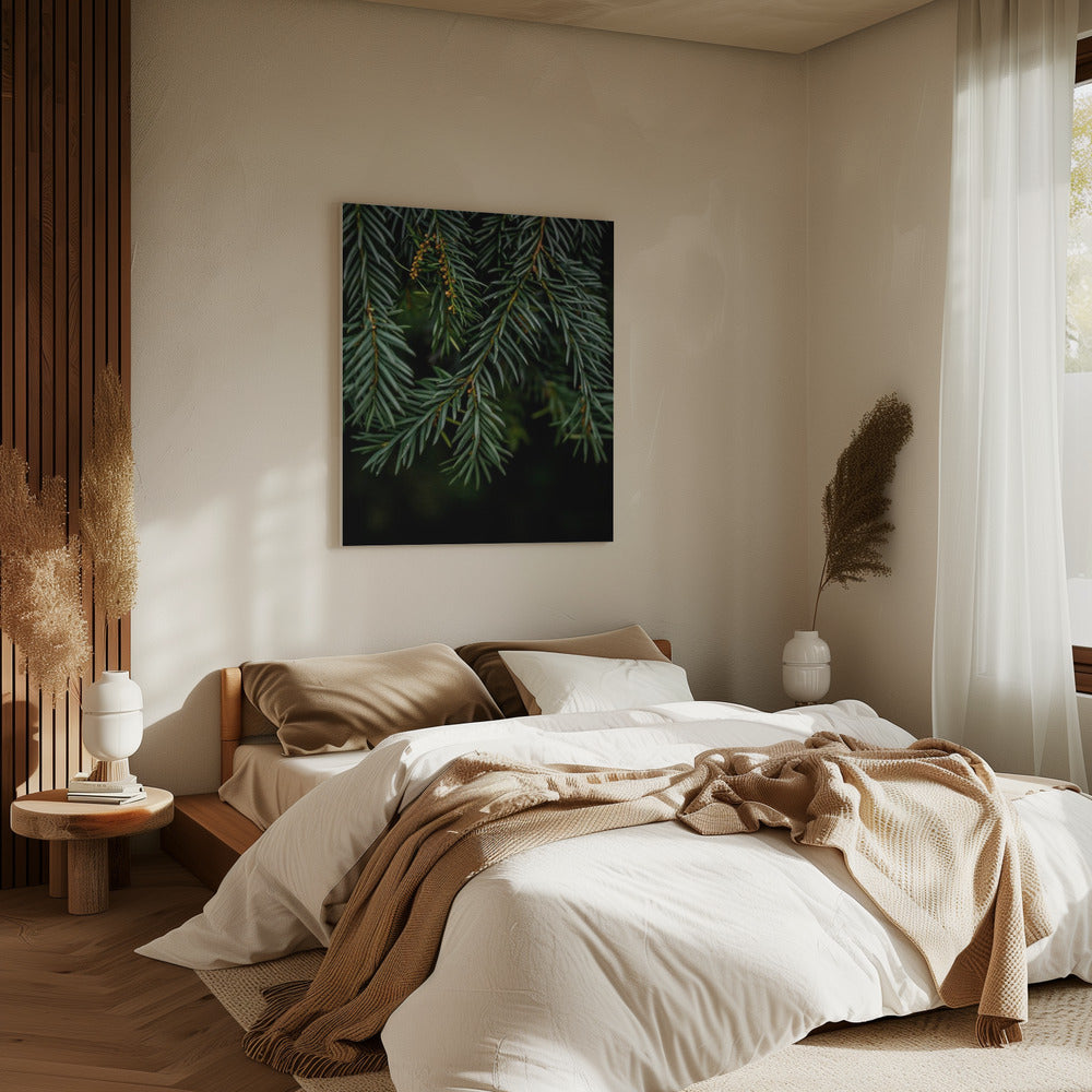 Wintertakken 7 | Canvas