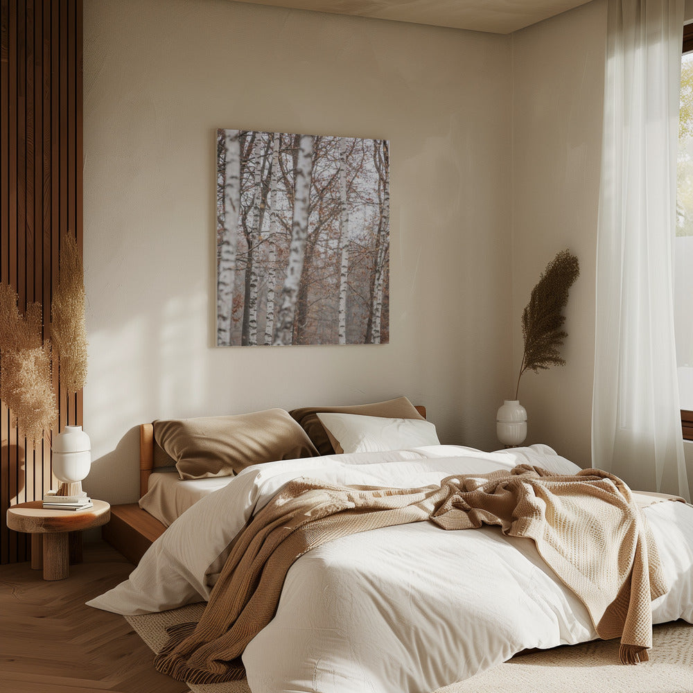 Berkenbomen 6 | Canvas