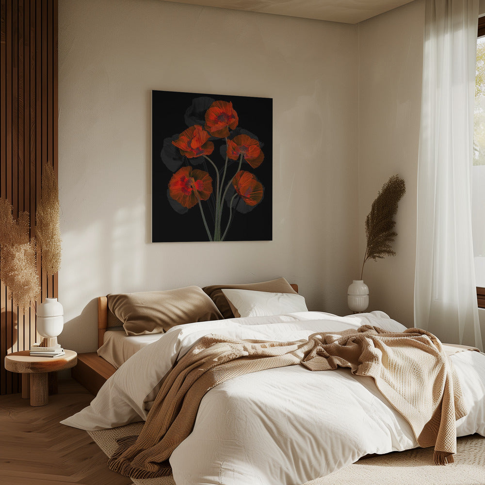 Glaceful Red Poppy | Canvas