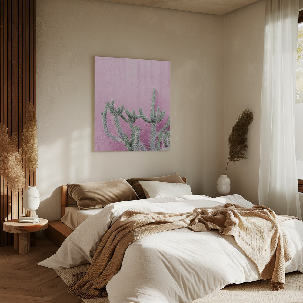 Cactus op roze | Canvas