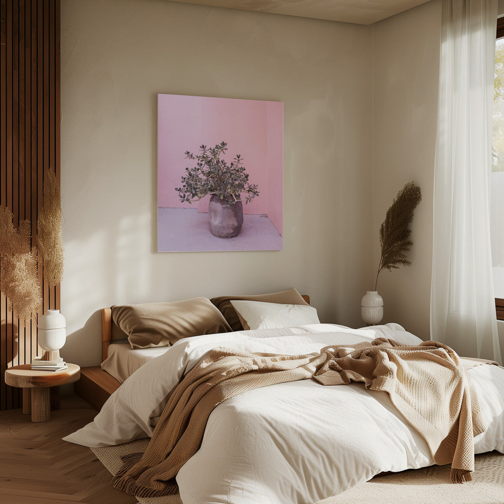 Spaanse rustieke succulent | Canvas