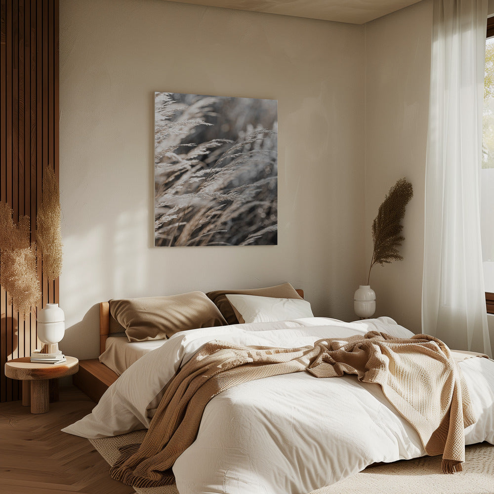 Gras 28 | Canvas