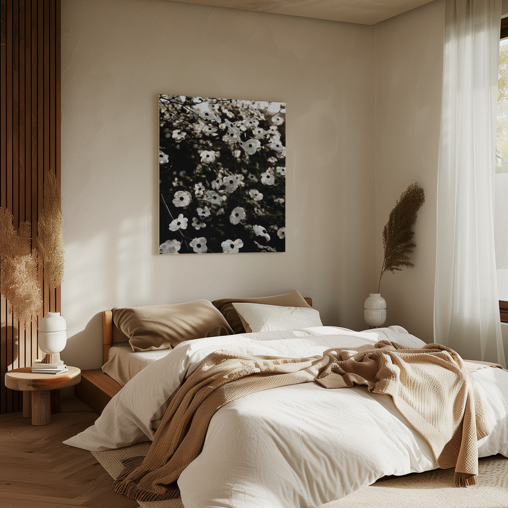 Witte Lenteboom 5 | Canvas