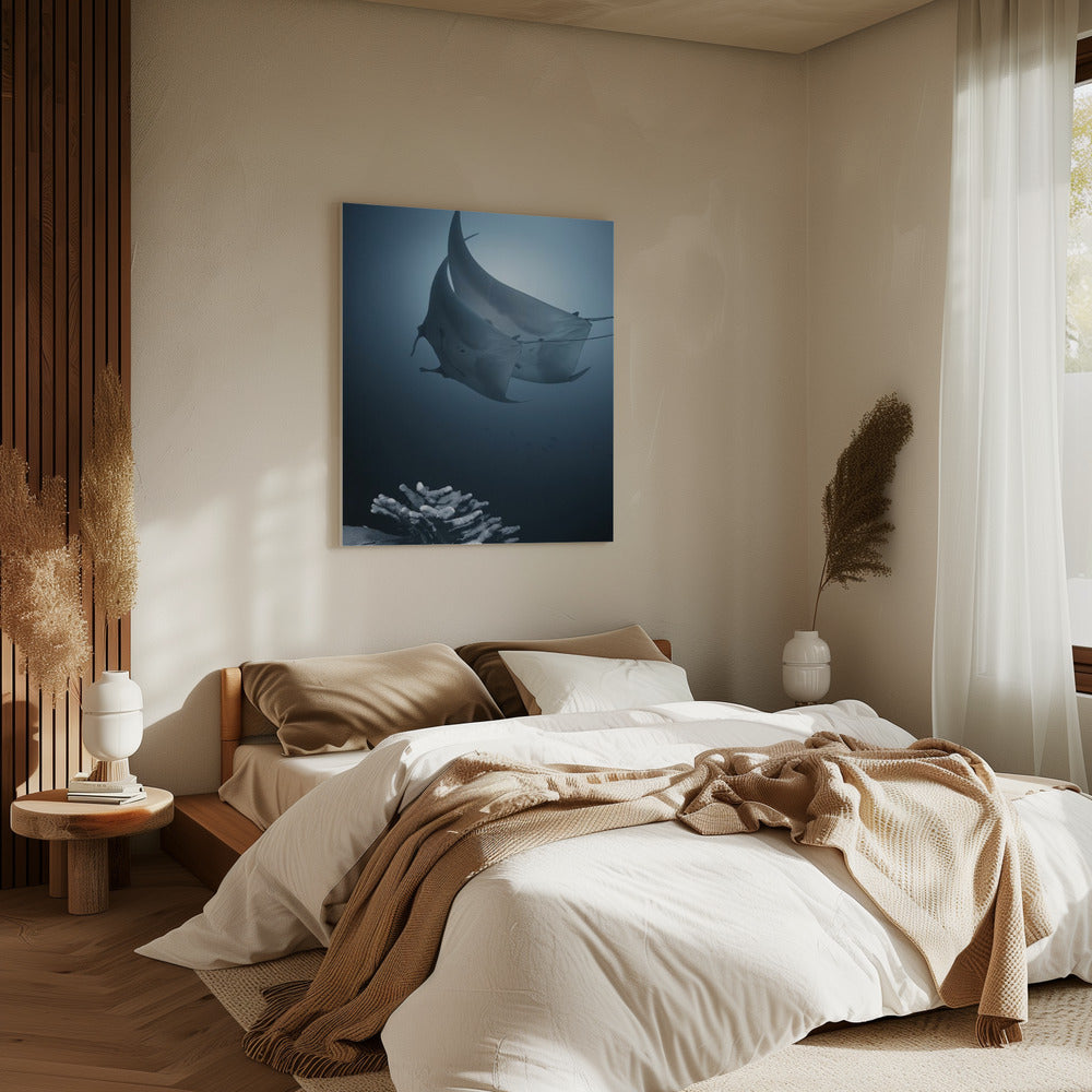 Sonate | Canvas