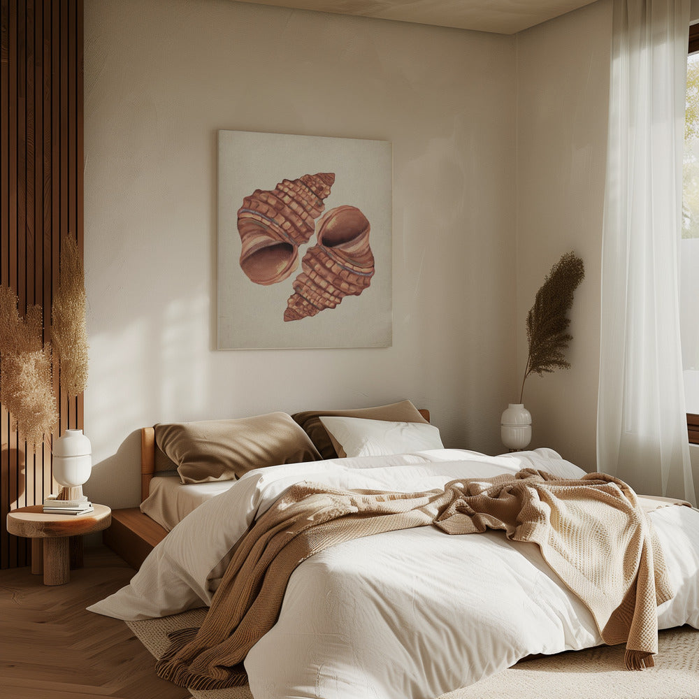 Vintage schelp | Canvas