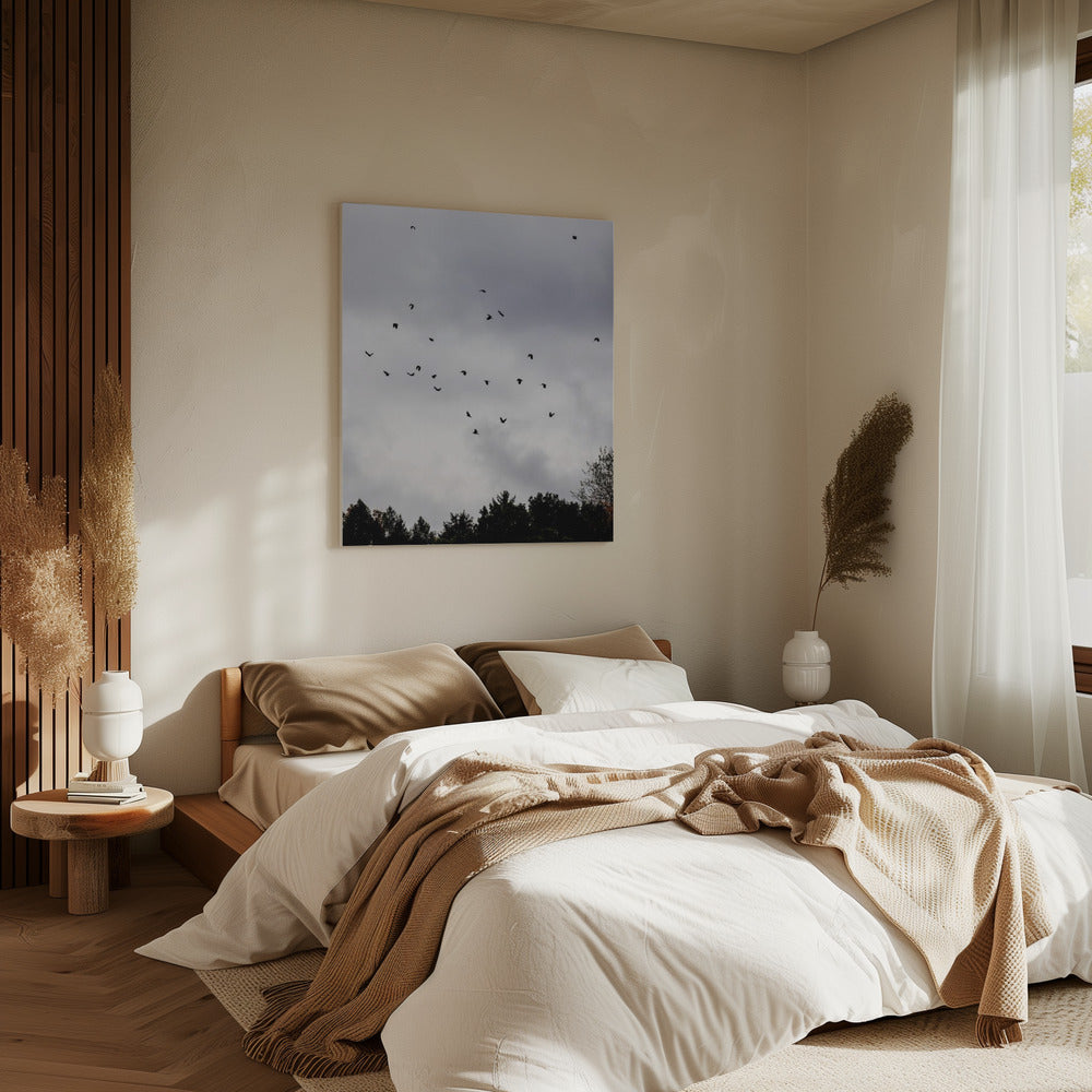 Vogels en wolken 1 | Canvas