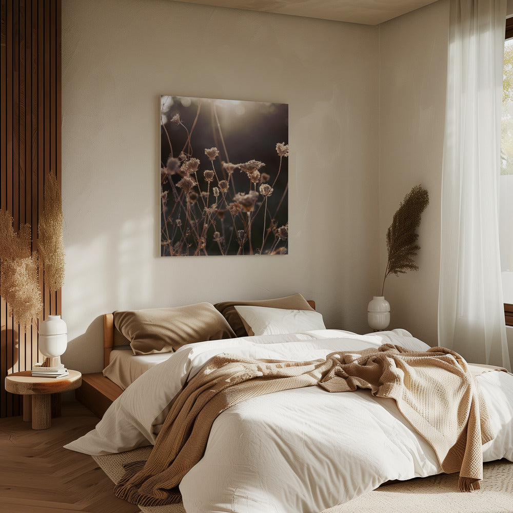 Warm Winterlicht 2 | Canvas