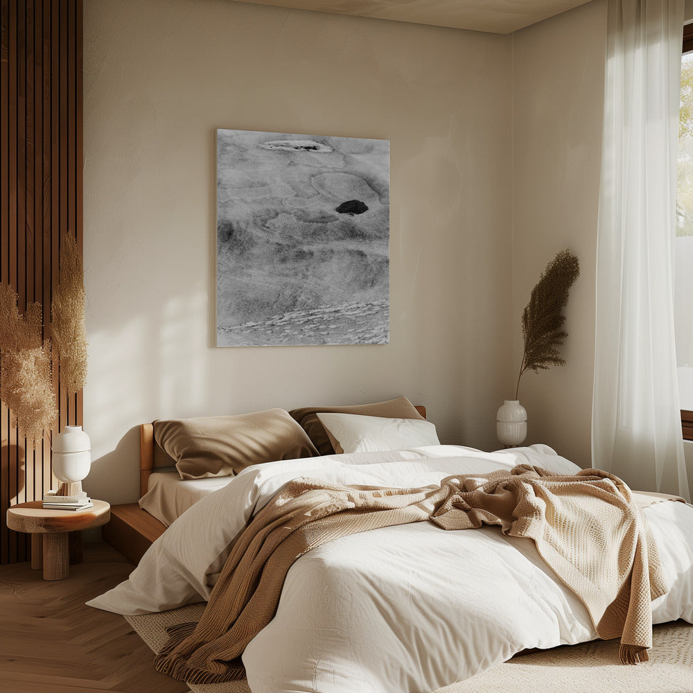 Sneeuwvormen | Canvas