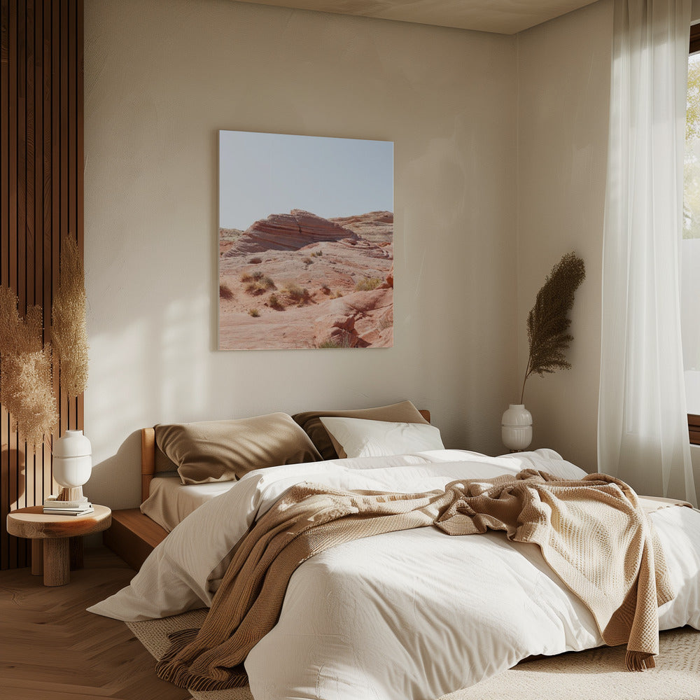Vallei van Vuur | Canvas