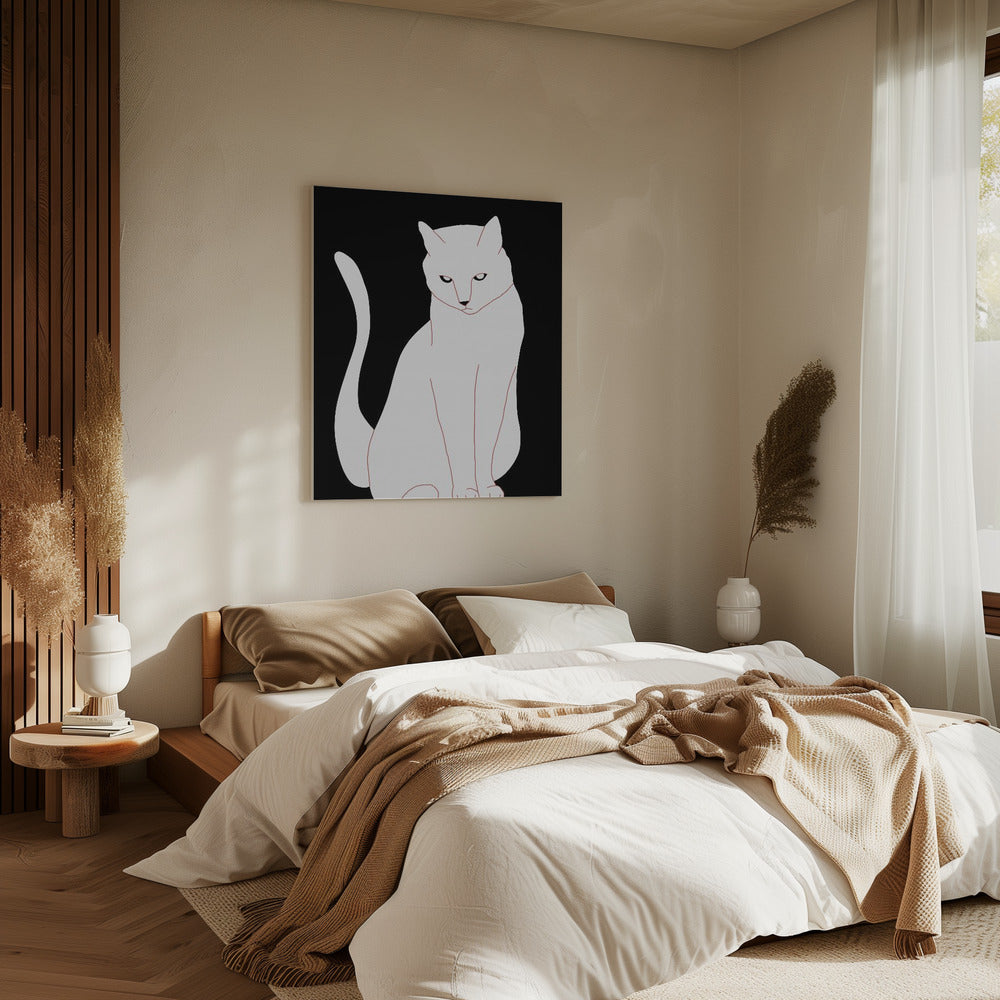 Witte en zwarte kat | Canvas
