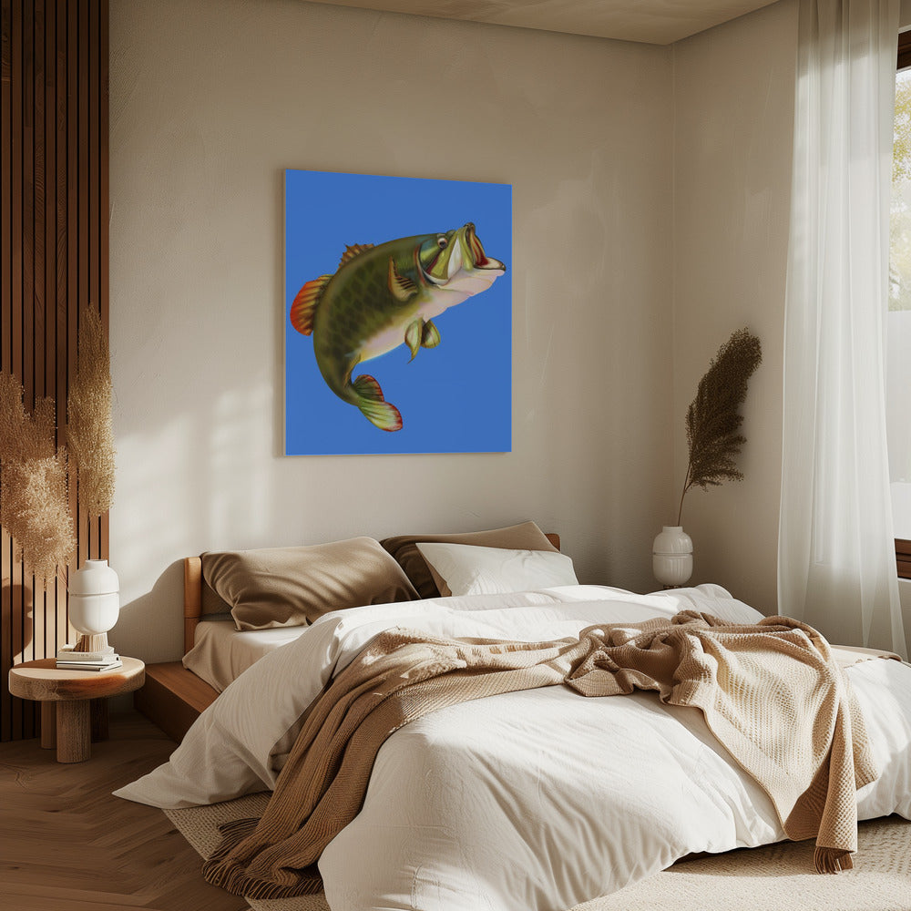 Basvis | Canvas