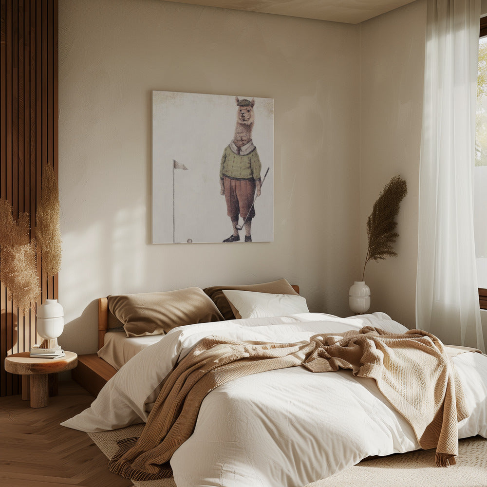 Alpaca Golfclub | Canvas