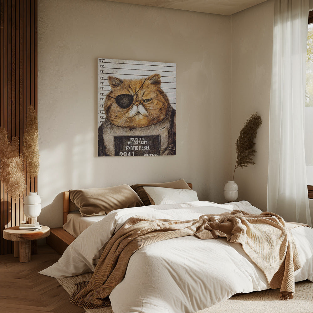 Grappige kat | Canvas