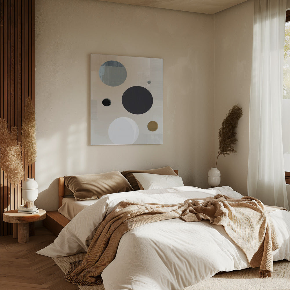 Bollen & Segmenten | Canvas