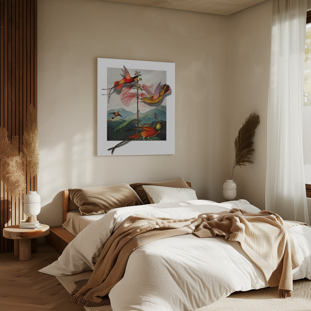Mimosa Grandiflora | Canvas
