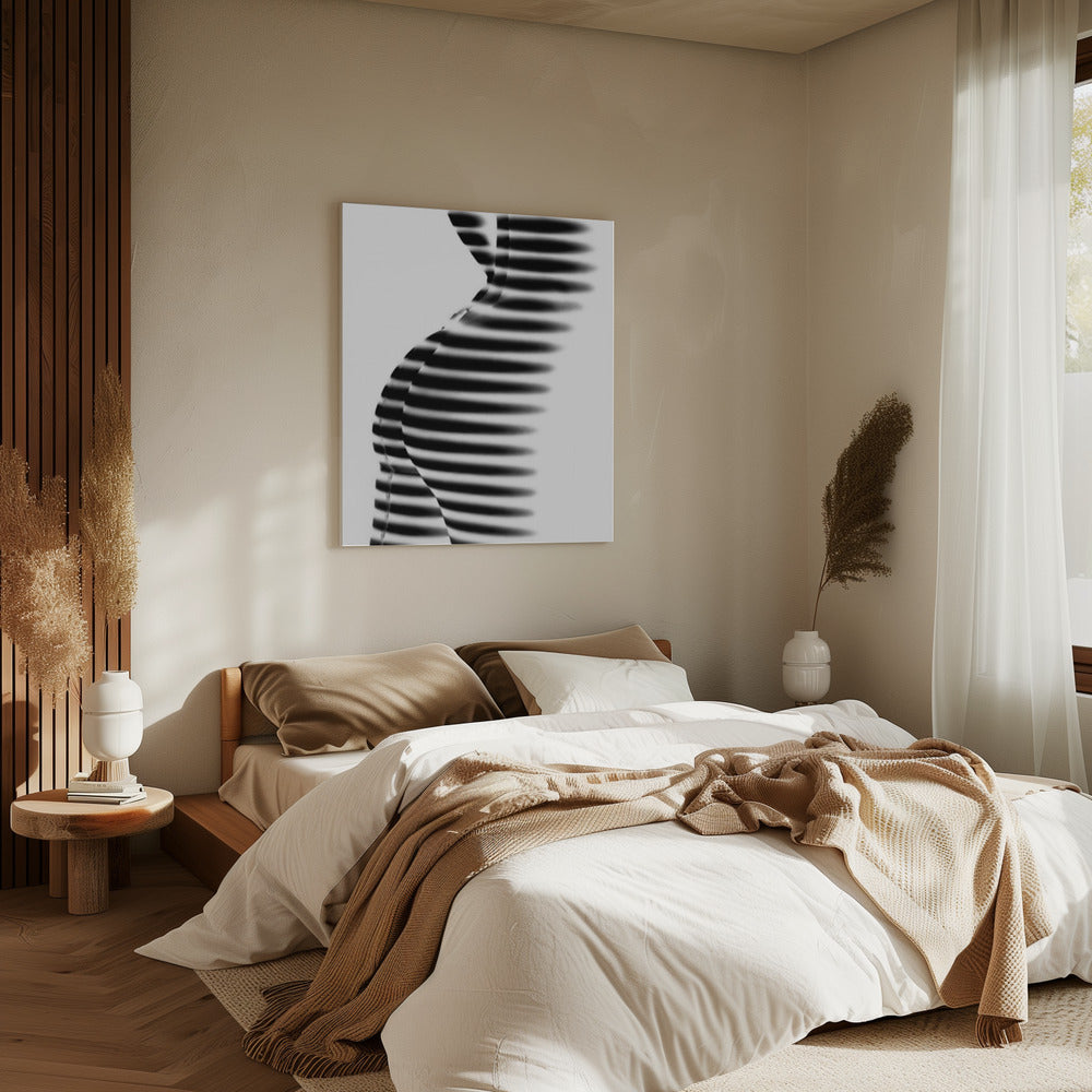 Zebra | Canvas