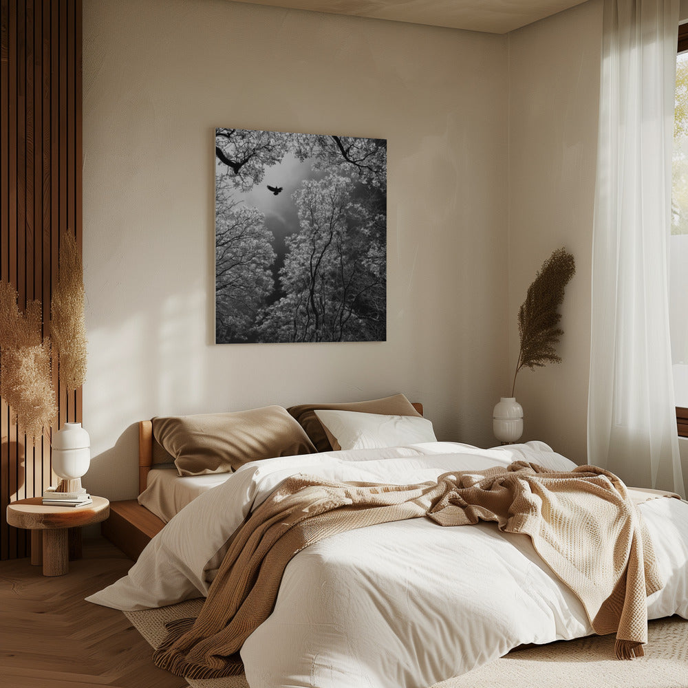 Vlucht | Canvas