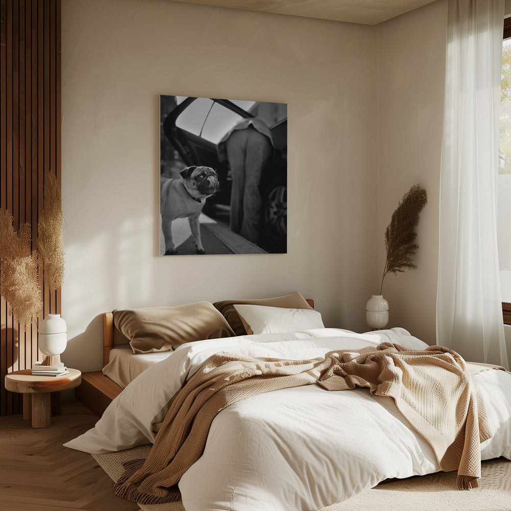 Zonder titel | Canvas