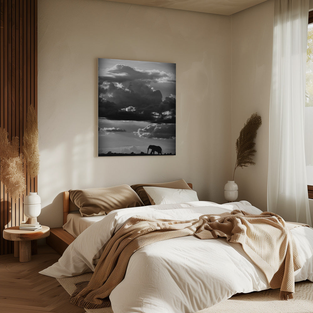 Hij loopt onder een Afrikaanse hemel | Canvas