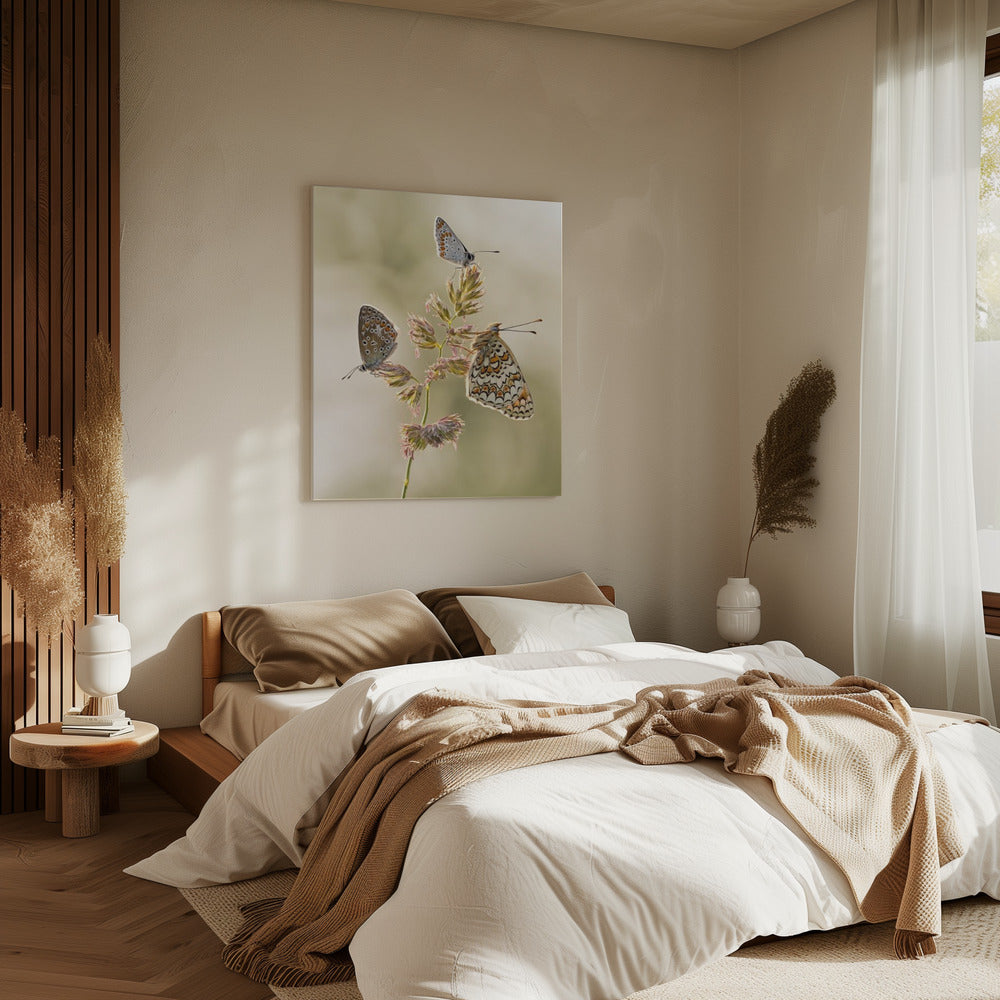 Een soort smeltkroes | Canvas