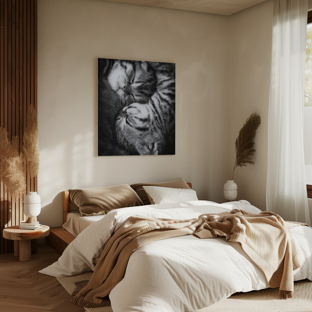 Yin en Yang | Canvas