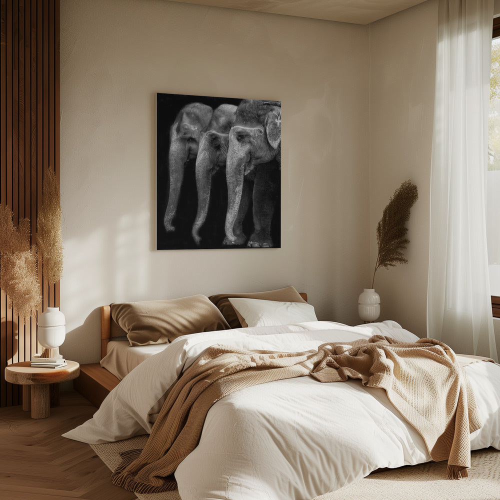 Het grootste meesterwerk van de natuur, een olifant; het enige onschadelijke grote ding ... | Canvas