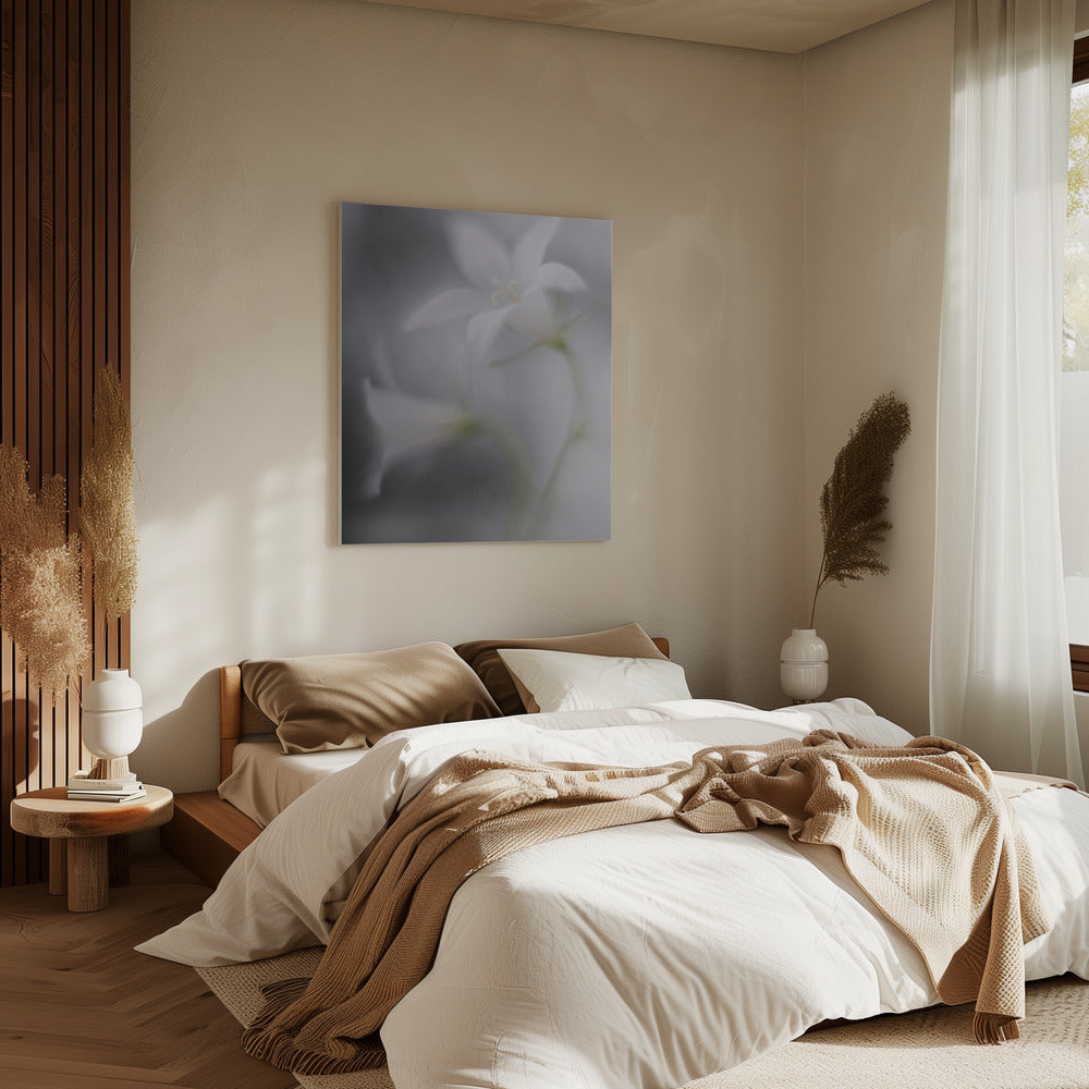 Bellen | Canvas