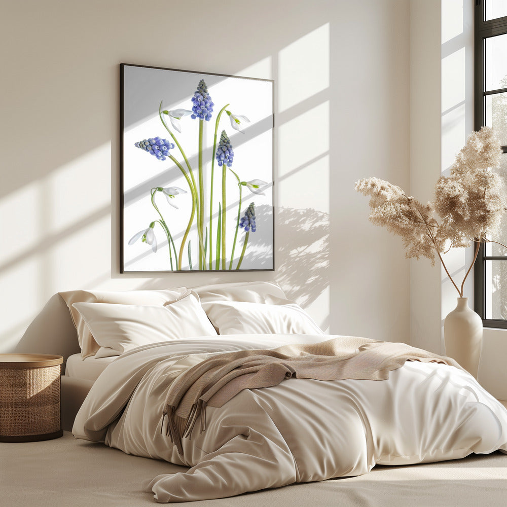 Muscari en Galanthus | Poster