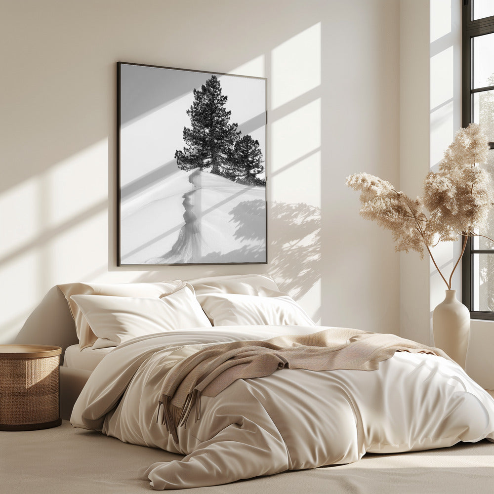 Over sneeuw en vormen | Poster