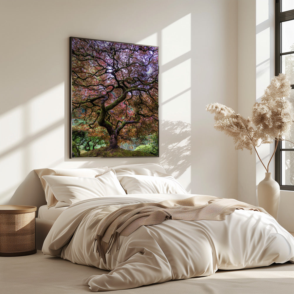 Japanse esdoorn | Poster