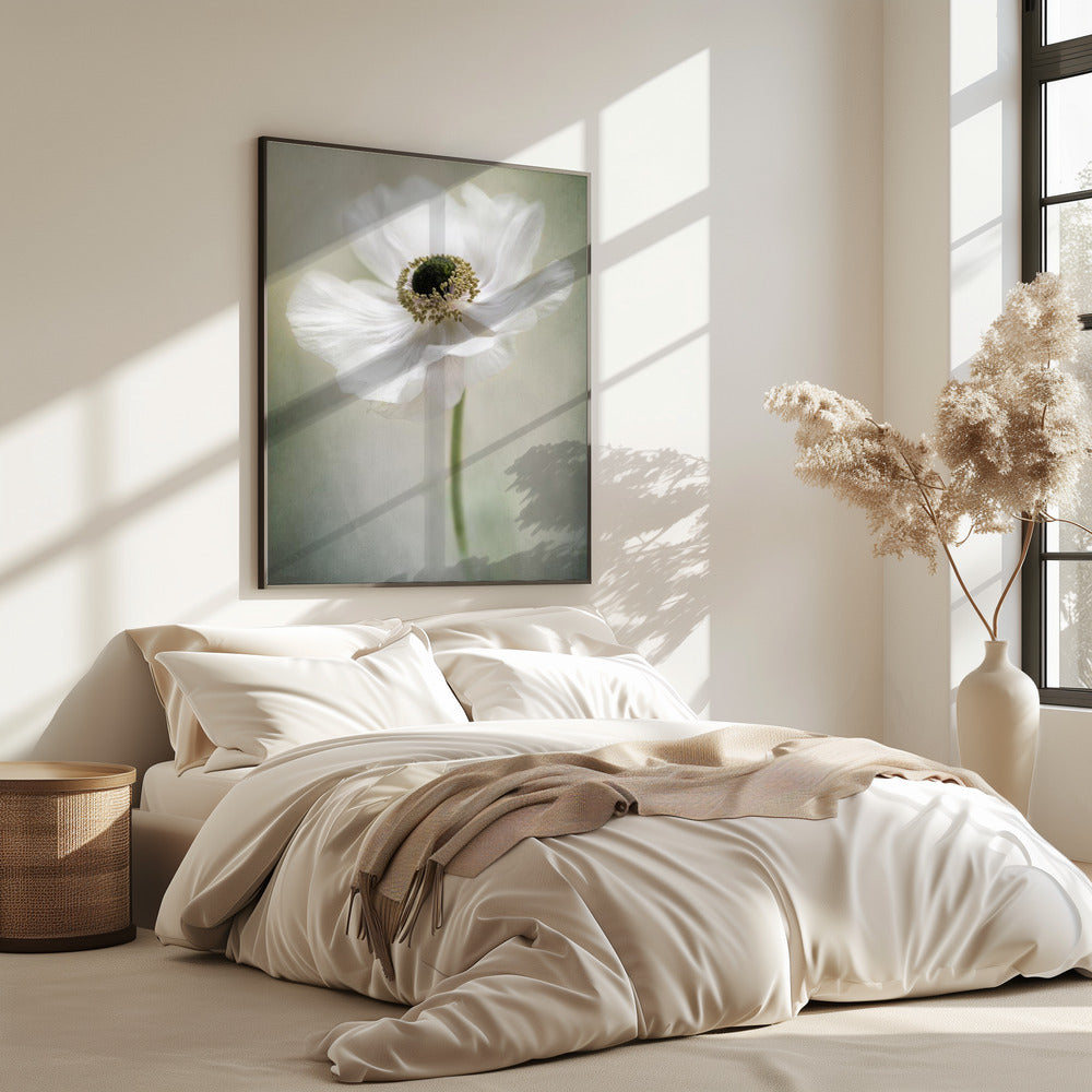 Enkele Witte | Poster