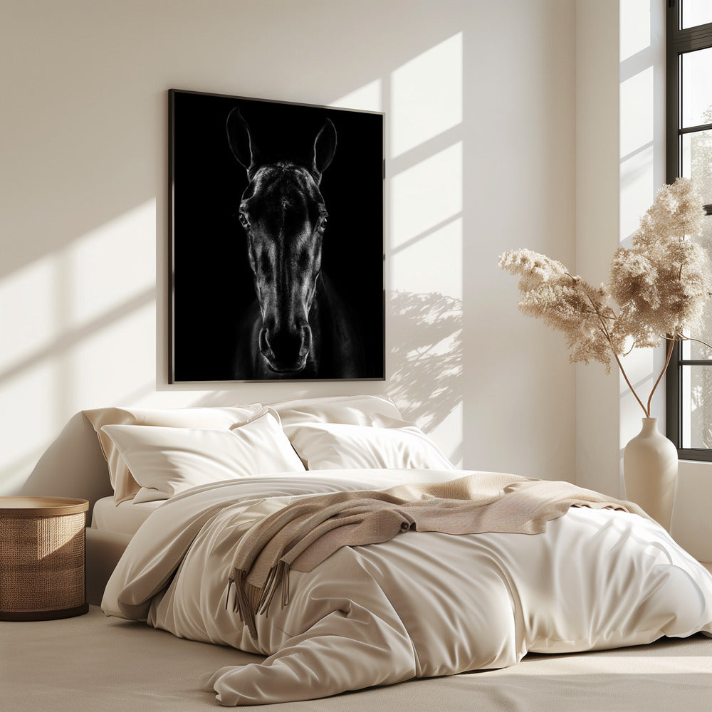 The Horse in Noir 15 | Poster