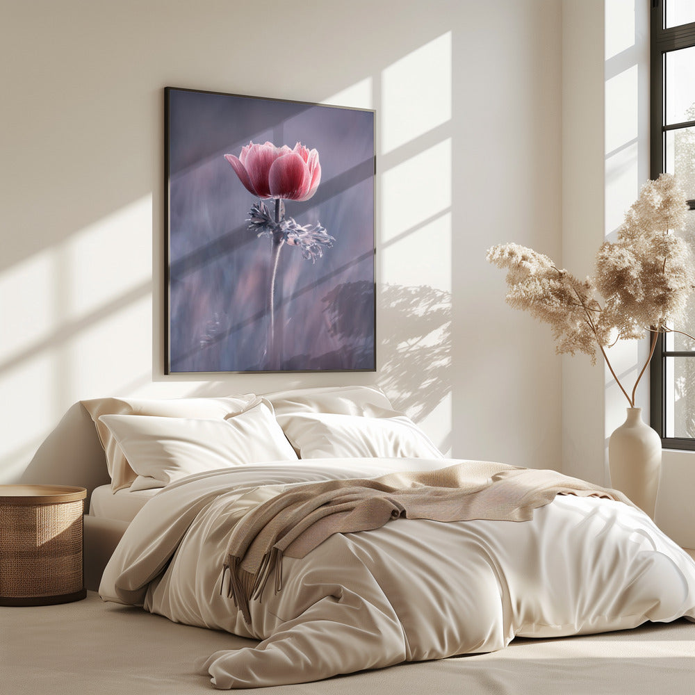 Roze! En dan? | Poster