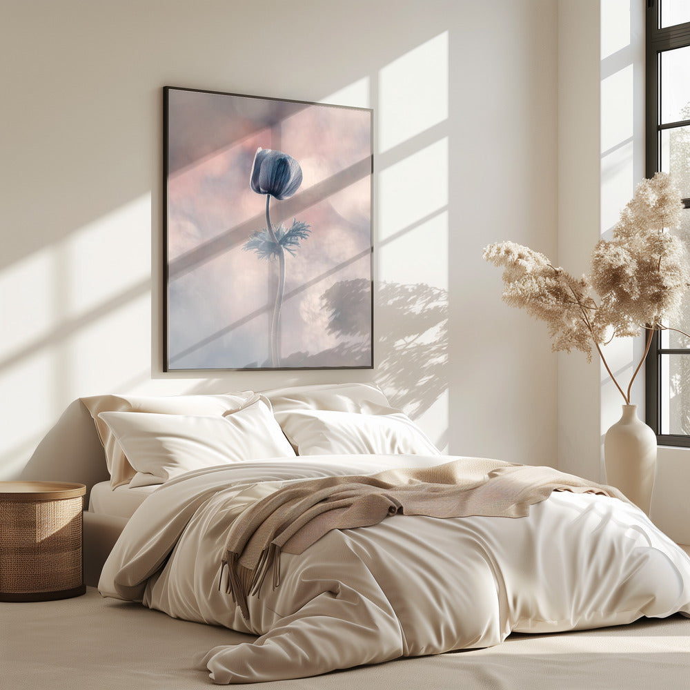 Soliste | Poster