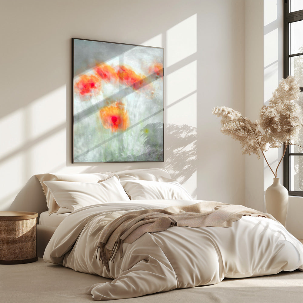 Rode korenbloemen | Poster