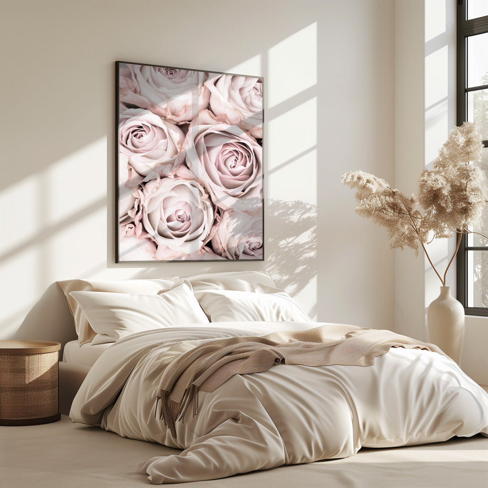 Roze Rozen Nr. 01 | Poster