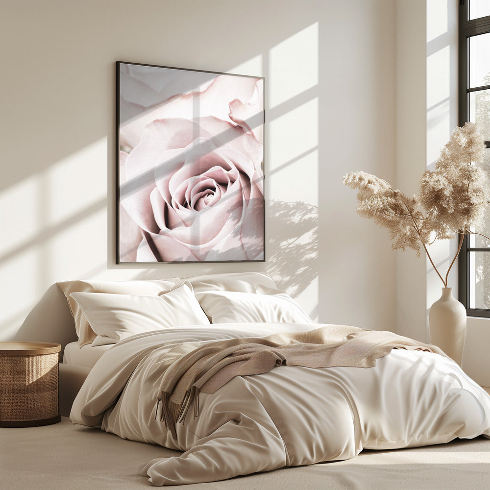 Roze Roos nr. 05 | Poster