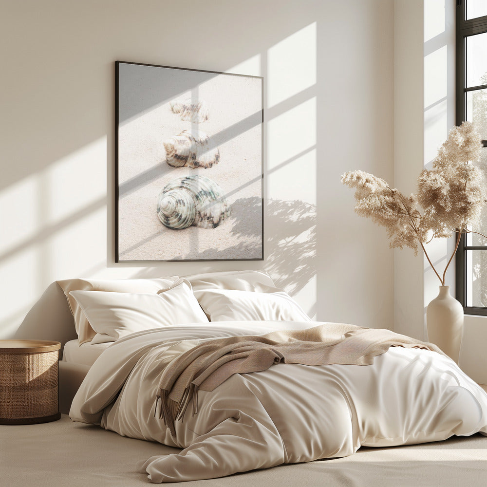 Schelpen | Poster