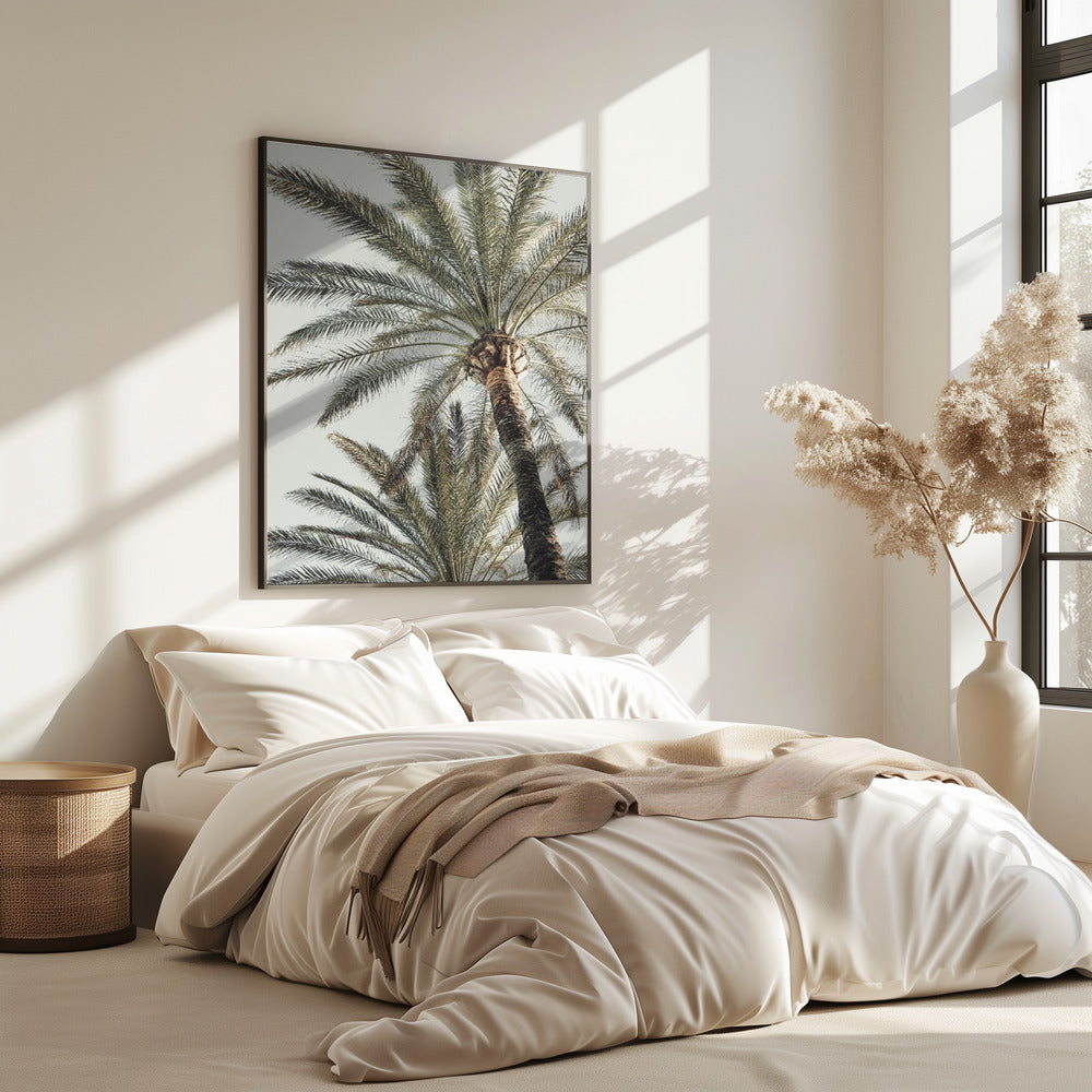 Palm_005 | Poster
