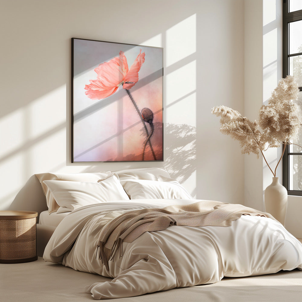 Tenderness | Poster