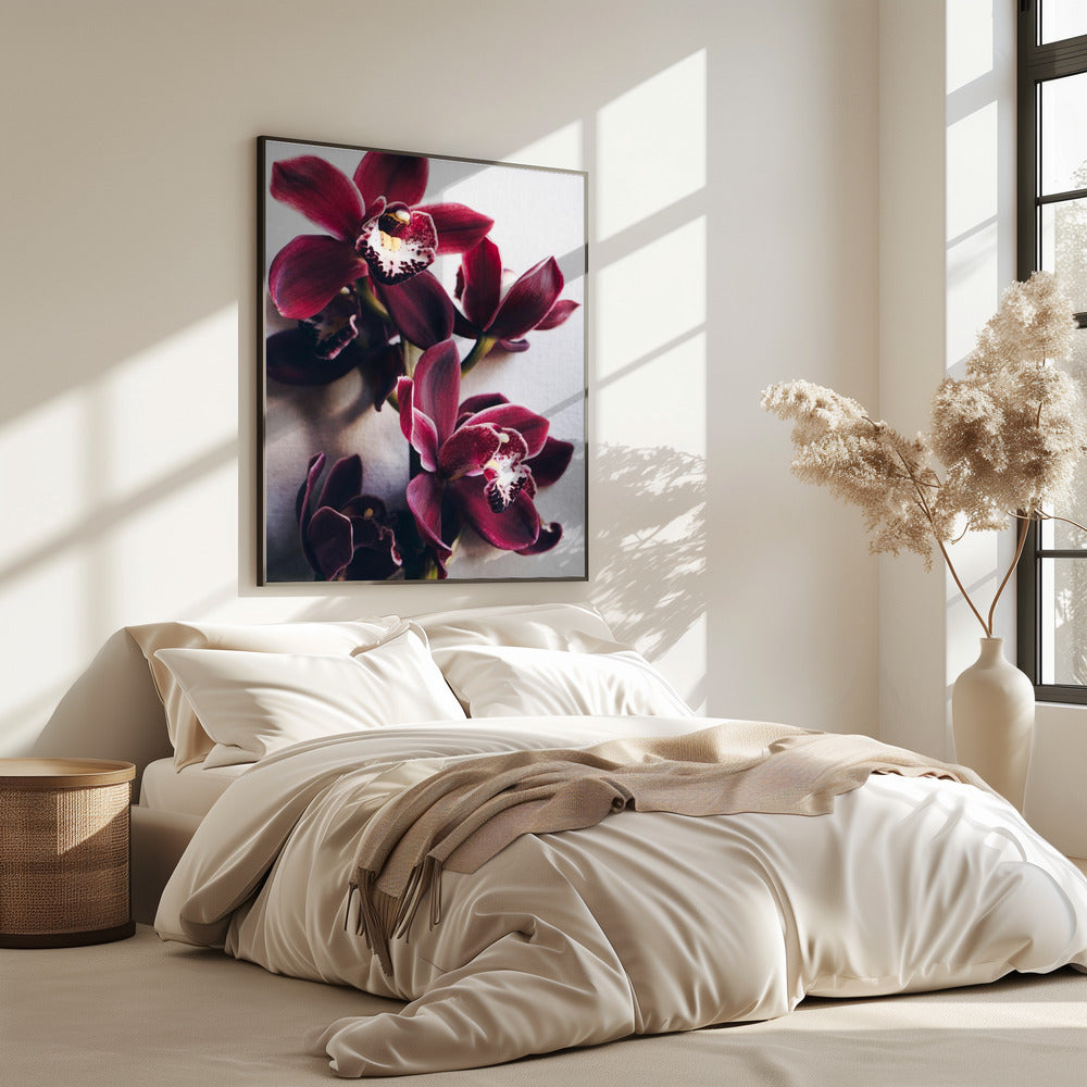 Orchideeën Elegantie | Poster