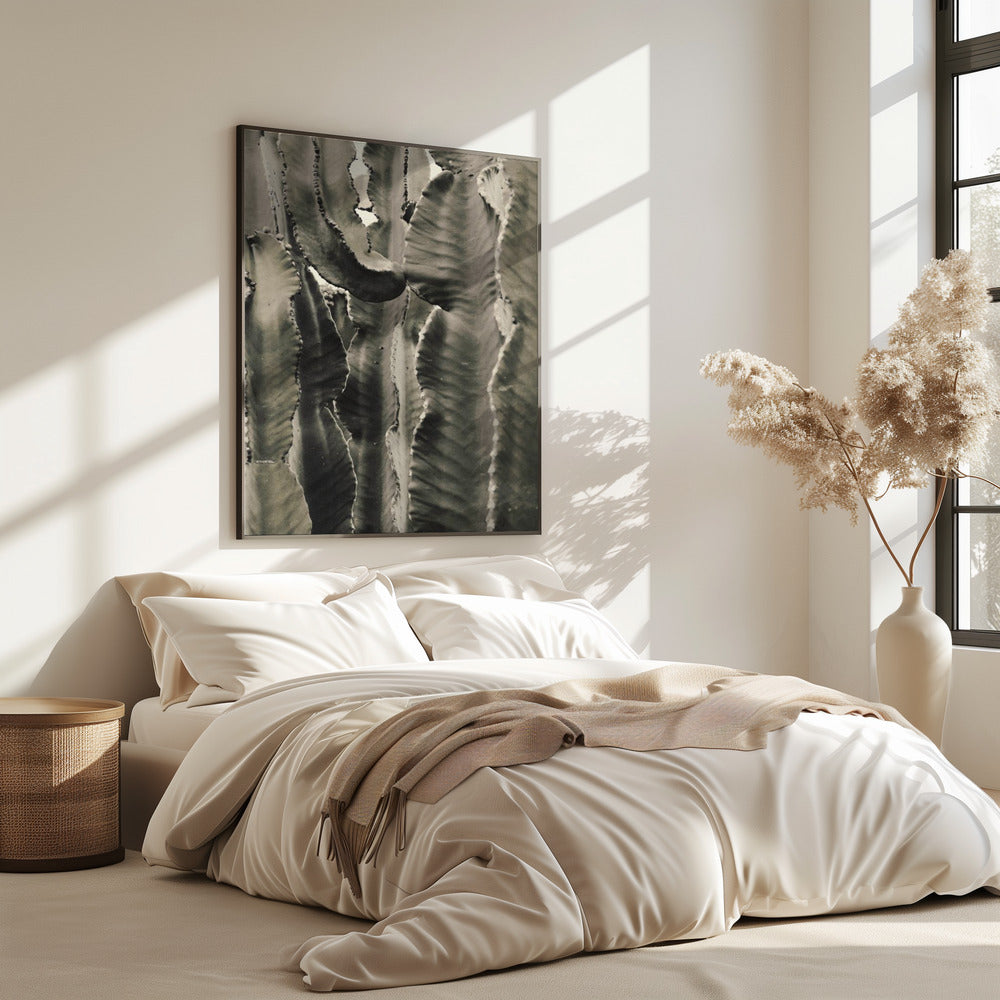 Cactus_002 | Poster