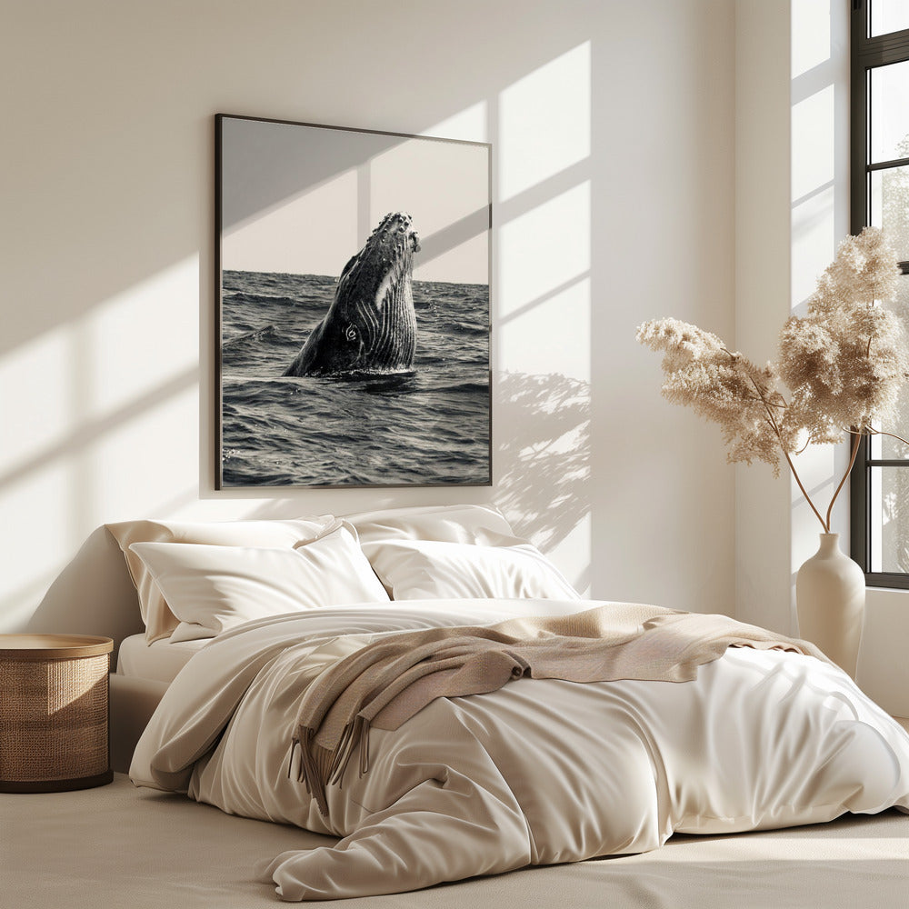 Geheim van de Walvis | Poster