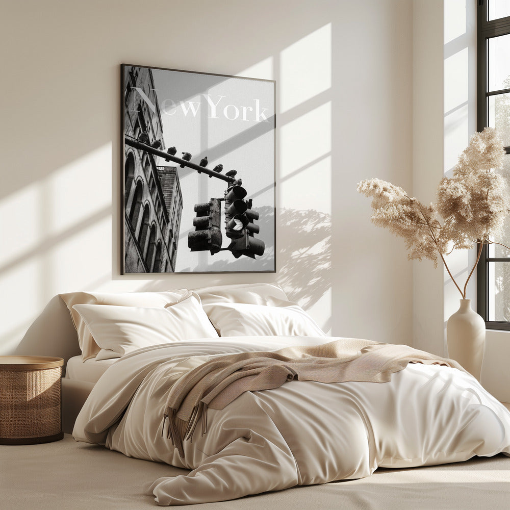 NYC Doves | Poster