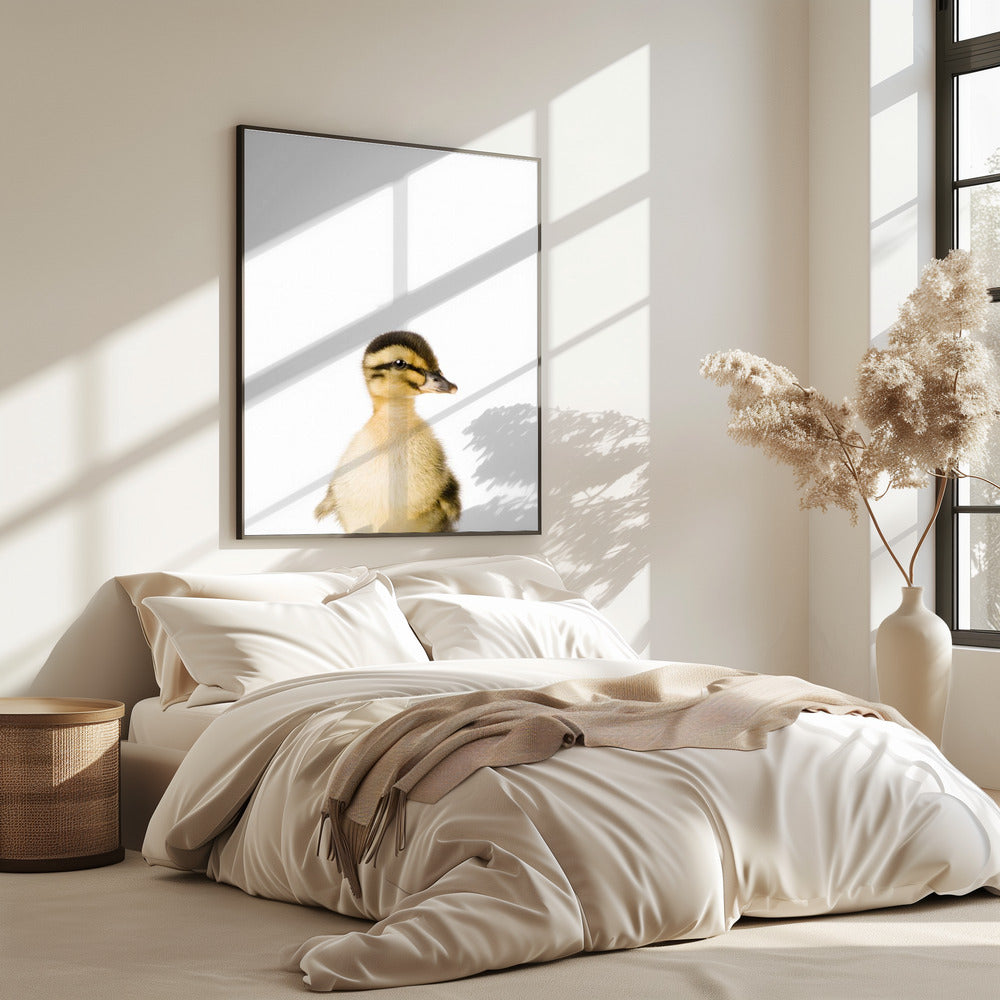 Baby Eend | Poster