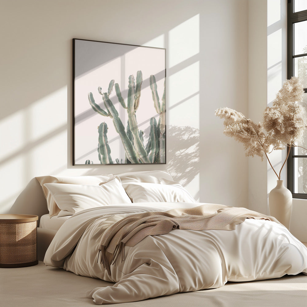 Zonsopgangcactus | Poster