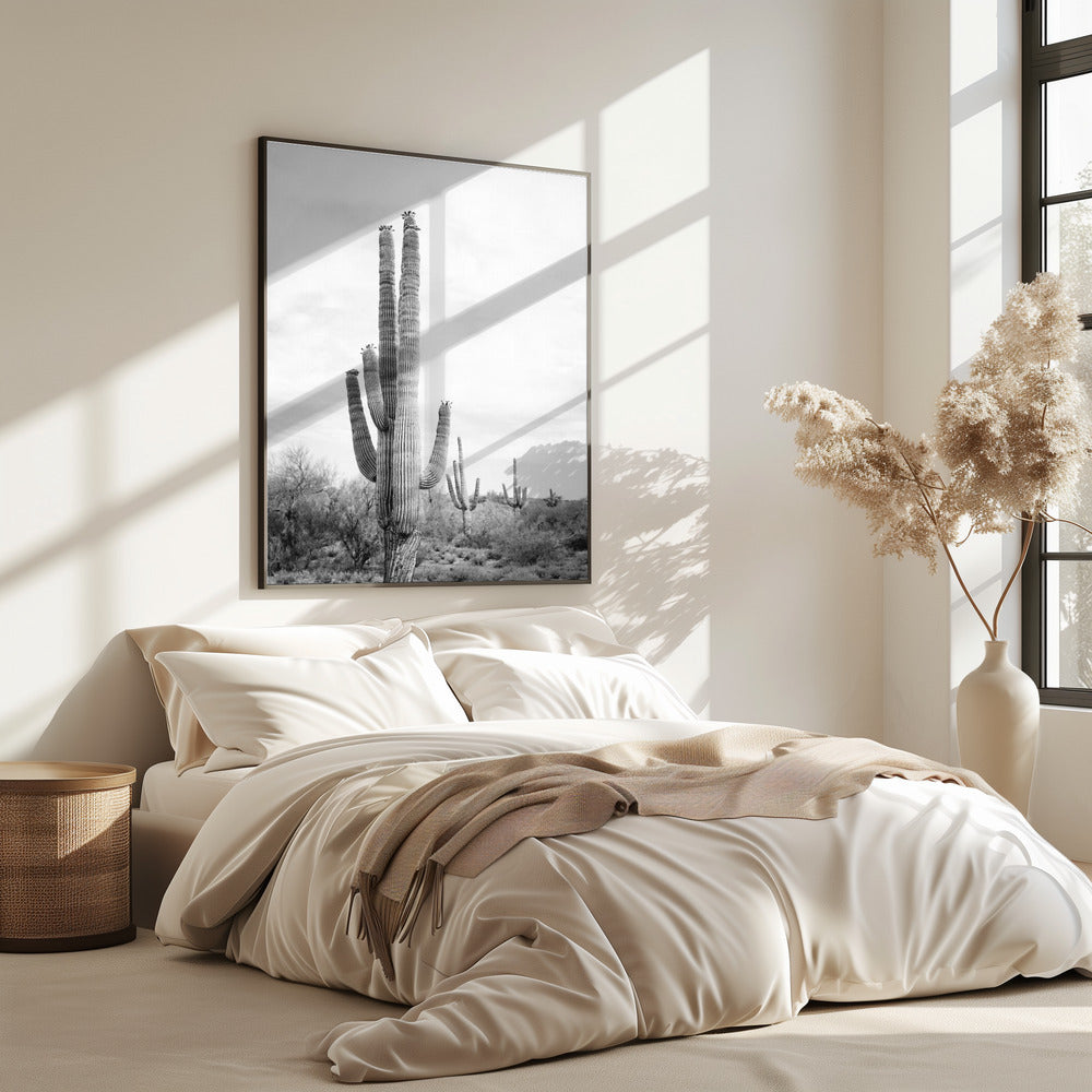 Saguaro Zwart-wit | Poster