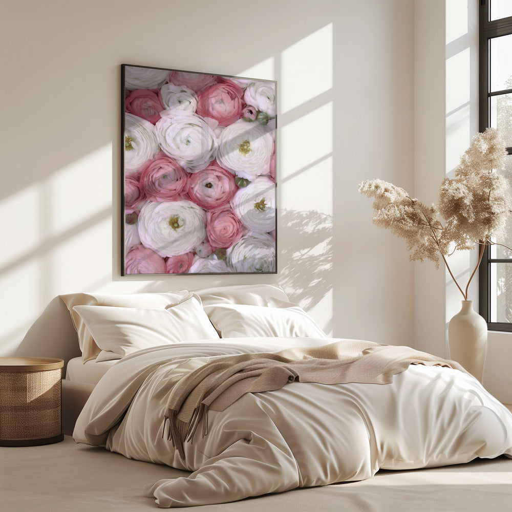 Verspreide ranonkel in gedempt roze II | Poster